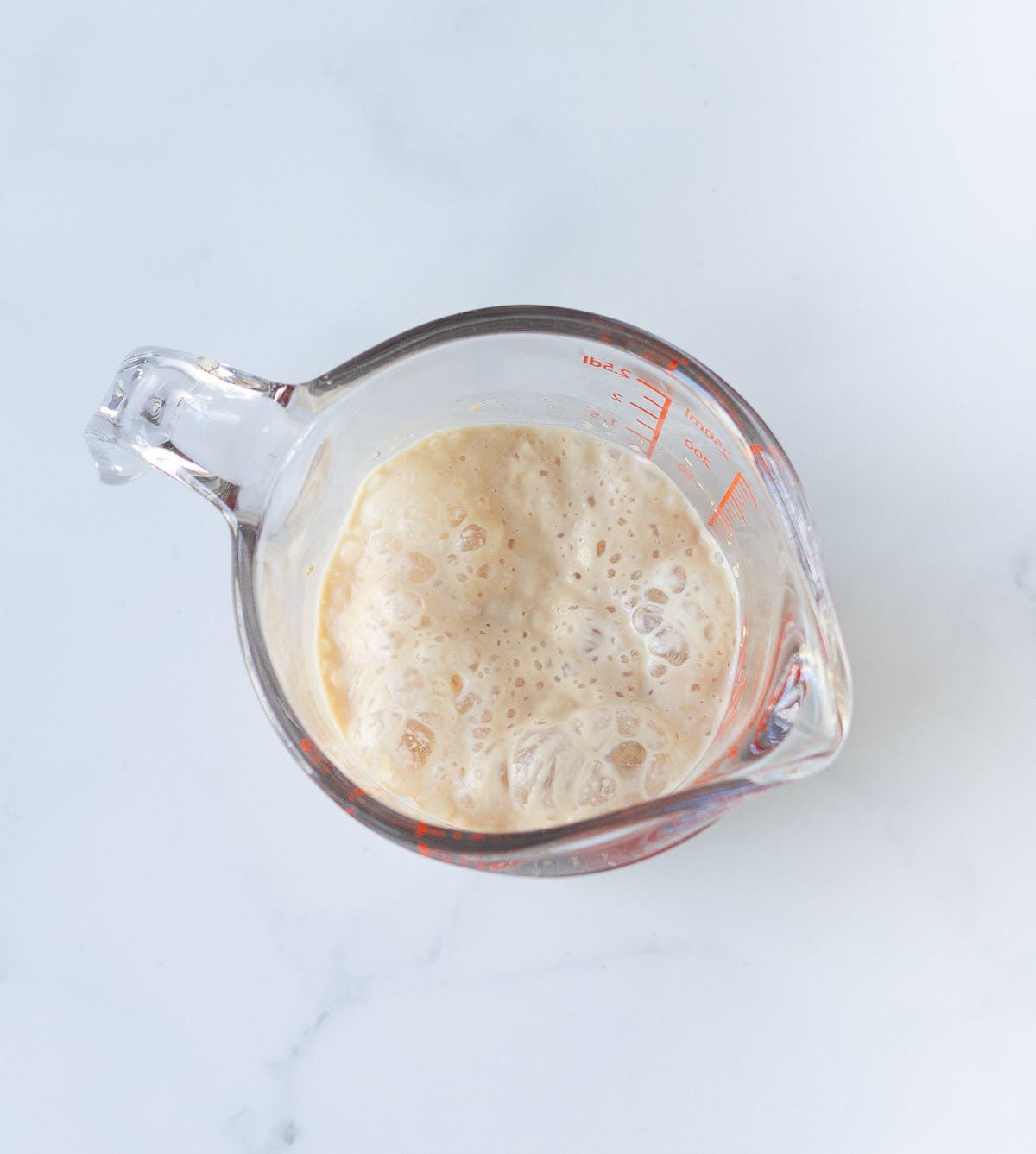 Bubbling yeast and water mixture.