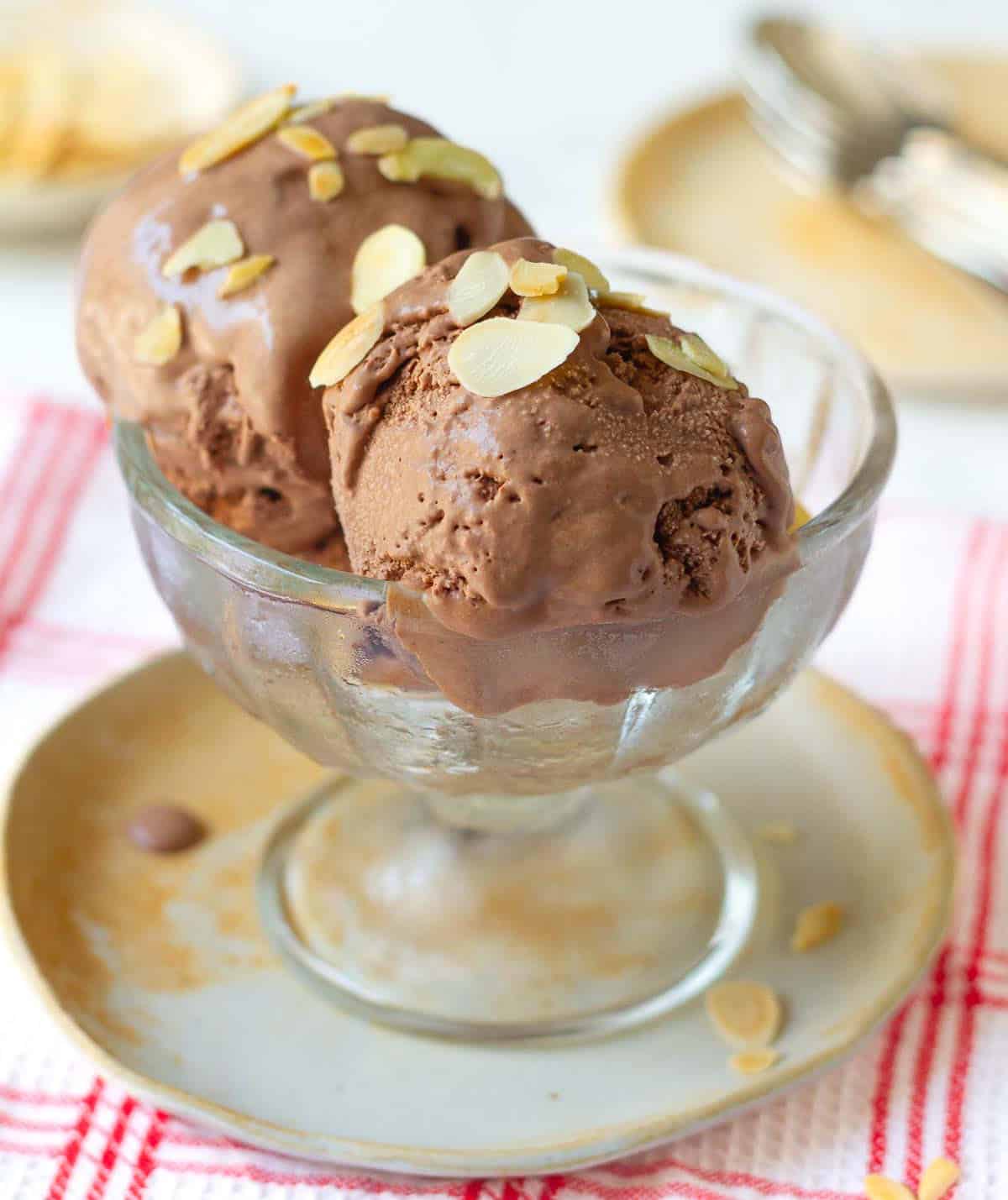 2 scoops of chocolate ice cream in a dessert cup with toasted almonds flakes on top.