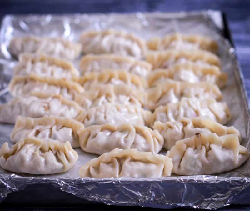 Tofu Potstickers