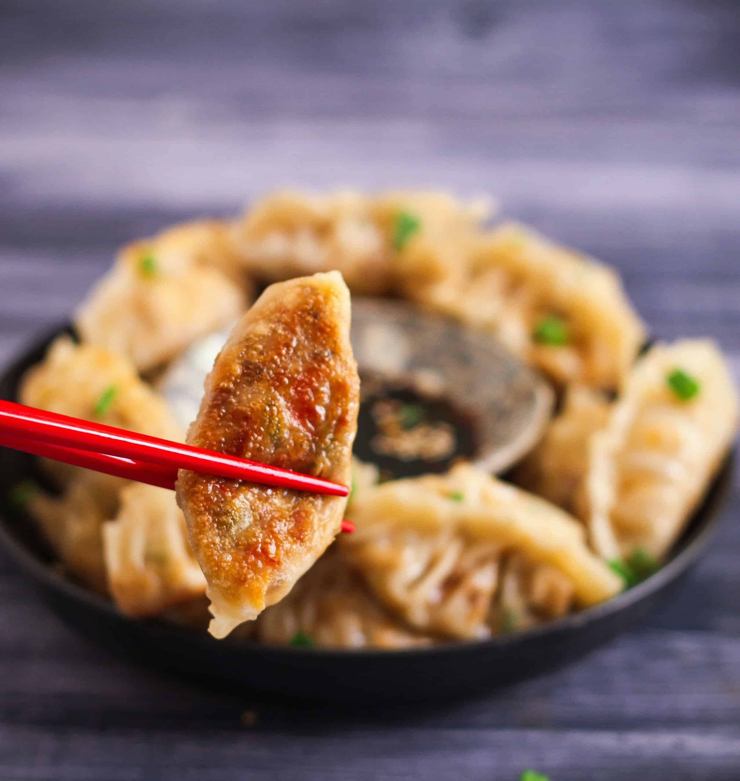 Tofu Potstickers