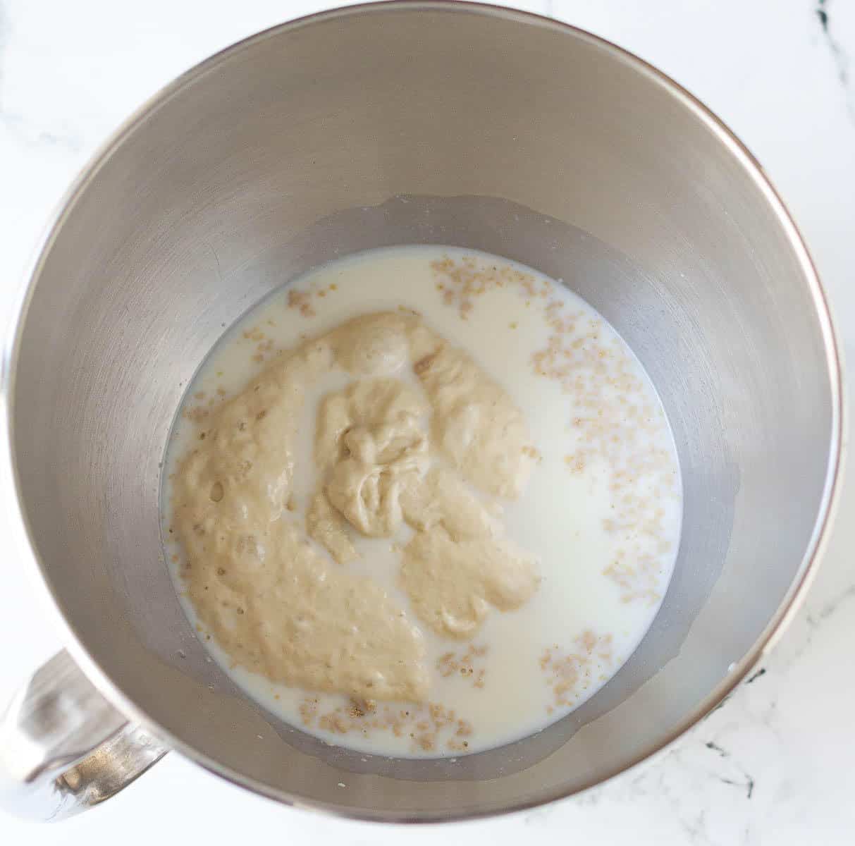 Starter, yeast, and milk in the bowl of a standmixer.