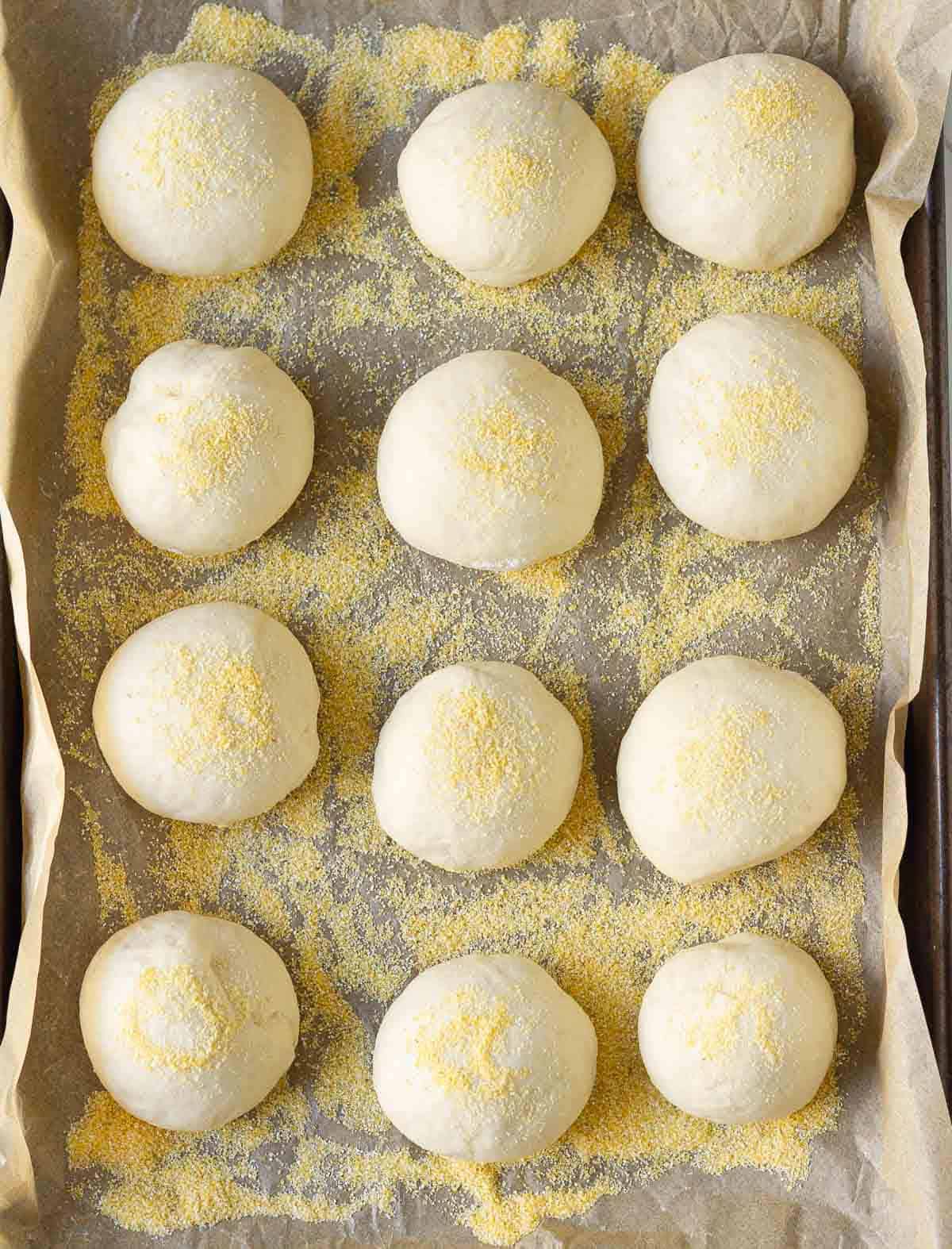 12 pieces of bread dough balls on a tray sprinkled with cornmeal.