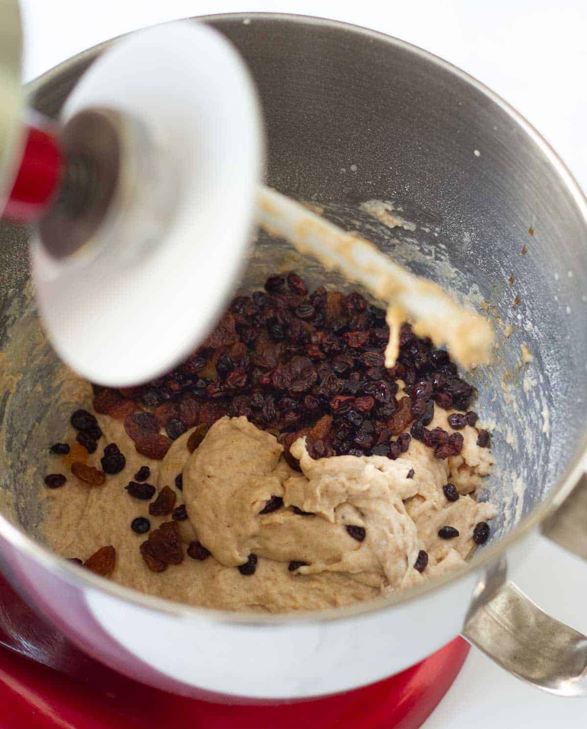Raisins and currants on top of the dough in a stand mixer bowl.