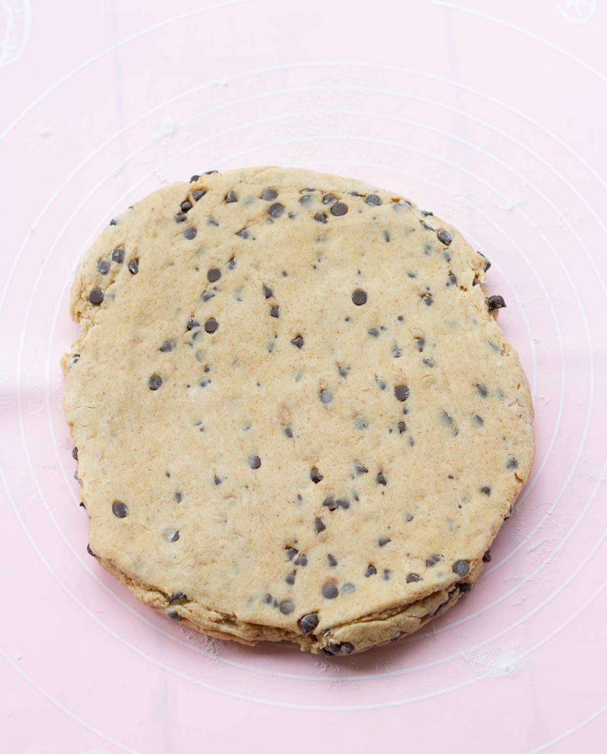Dough for scones with chocolate chips rolled out into a circle.
