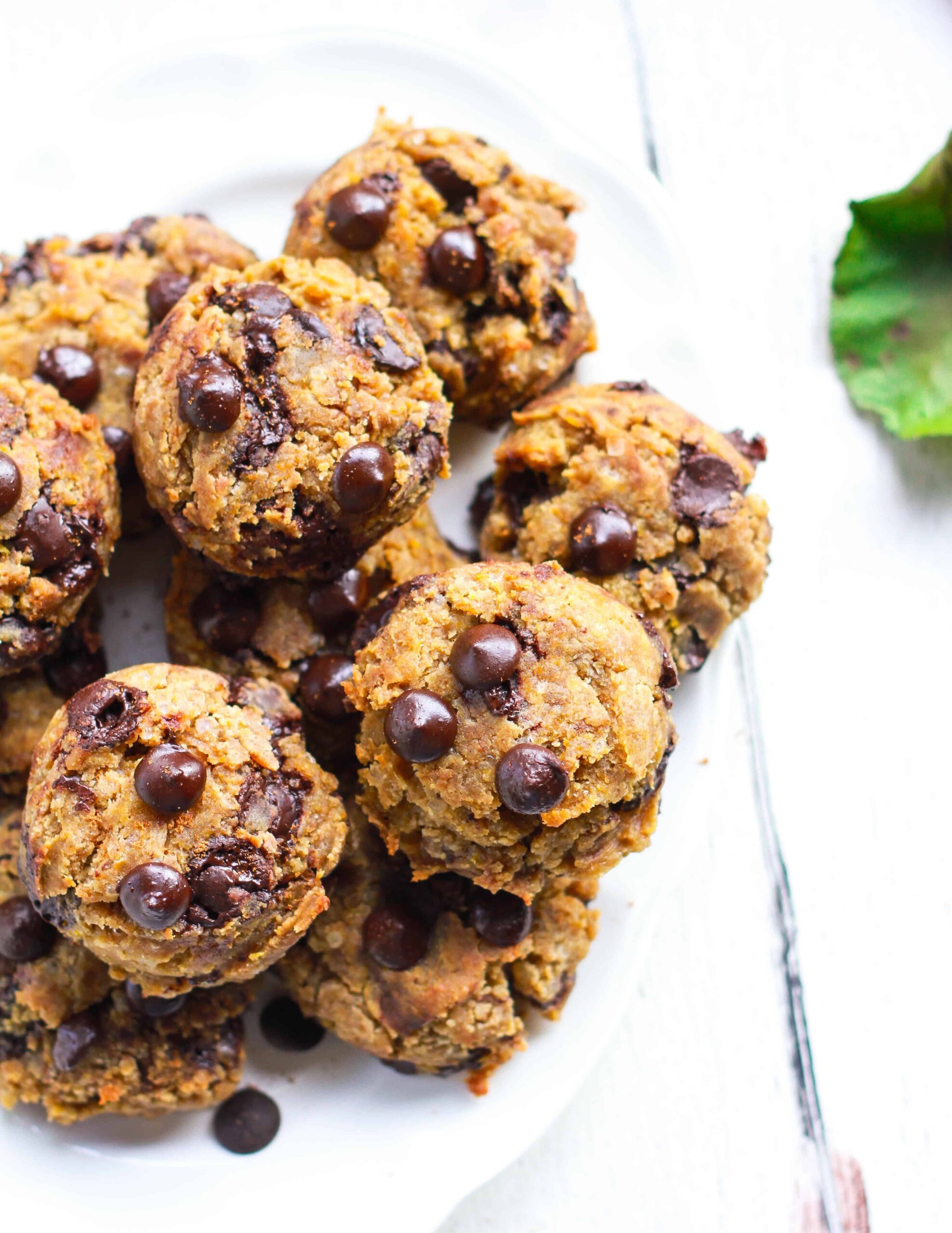 Soft Pumpkin Chocolate Chip Cookies Recipe