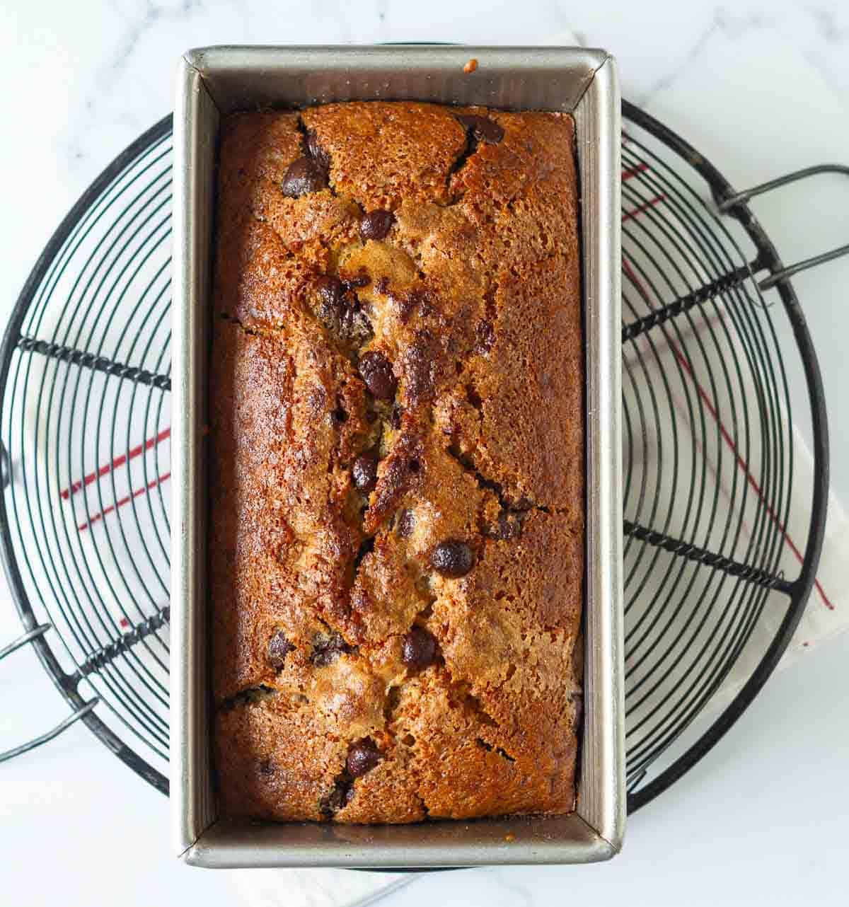 Baked cake with chocolate chips in a loaf pan.