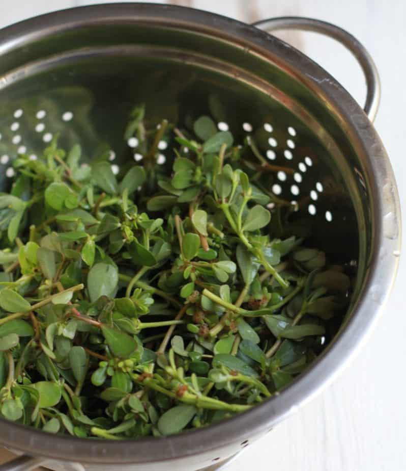 Purslane/ Kulfa ka saag