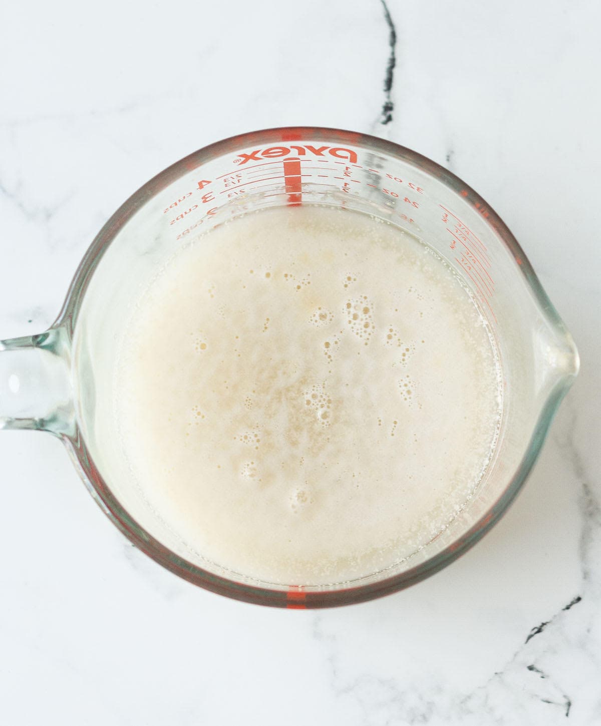 yeast and water mixture in a glass measuring cup.