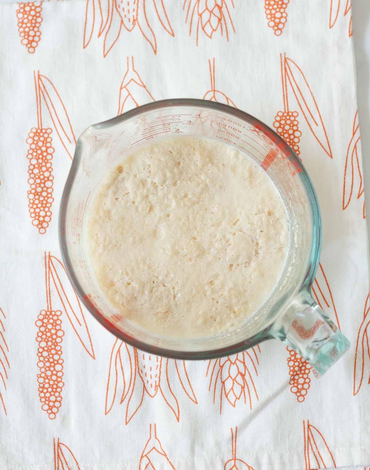 A bubbly mixture of yeast, milk, and water in a measuring cup.