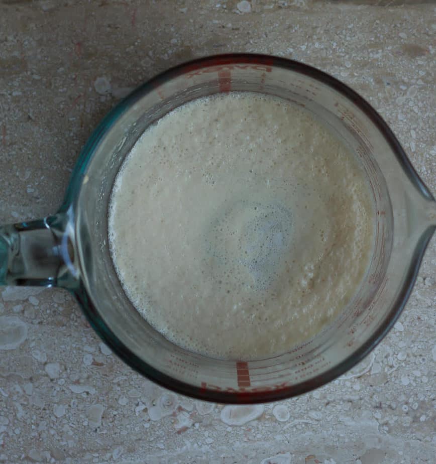Yeast mixture for Easy Sourdough Discard Bread | Easy bread recipe