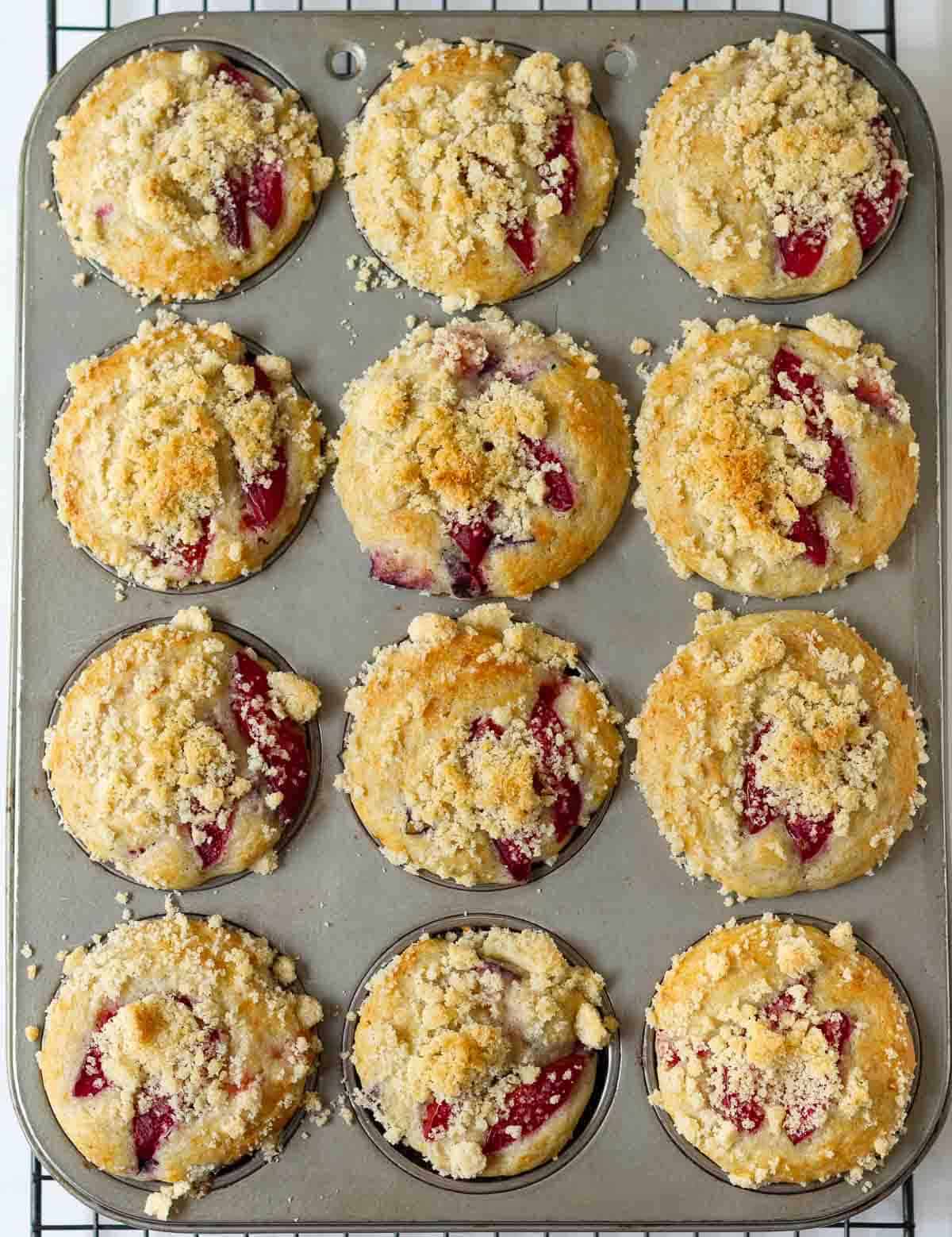 Baked plum muffins with streusel in a muffin tray.