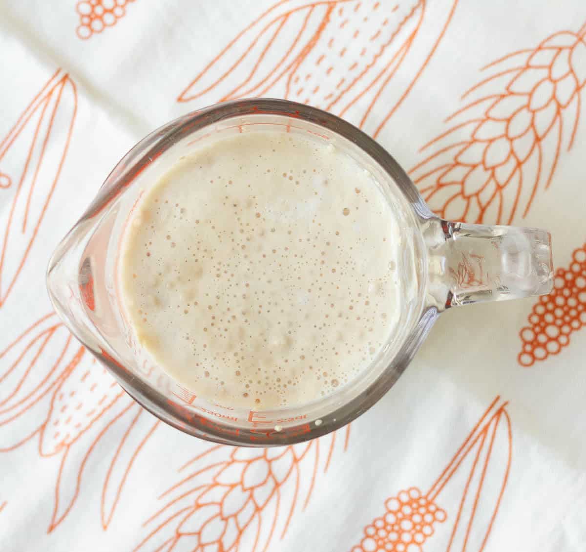 A bubbly yeast and water mixture in a small measuring cup.