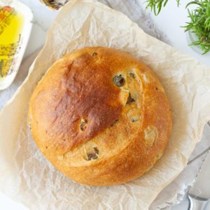 Easy Olive Bread