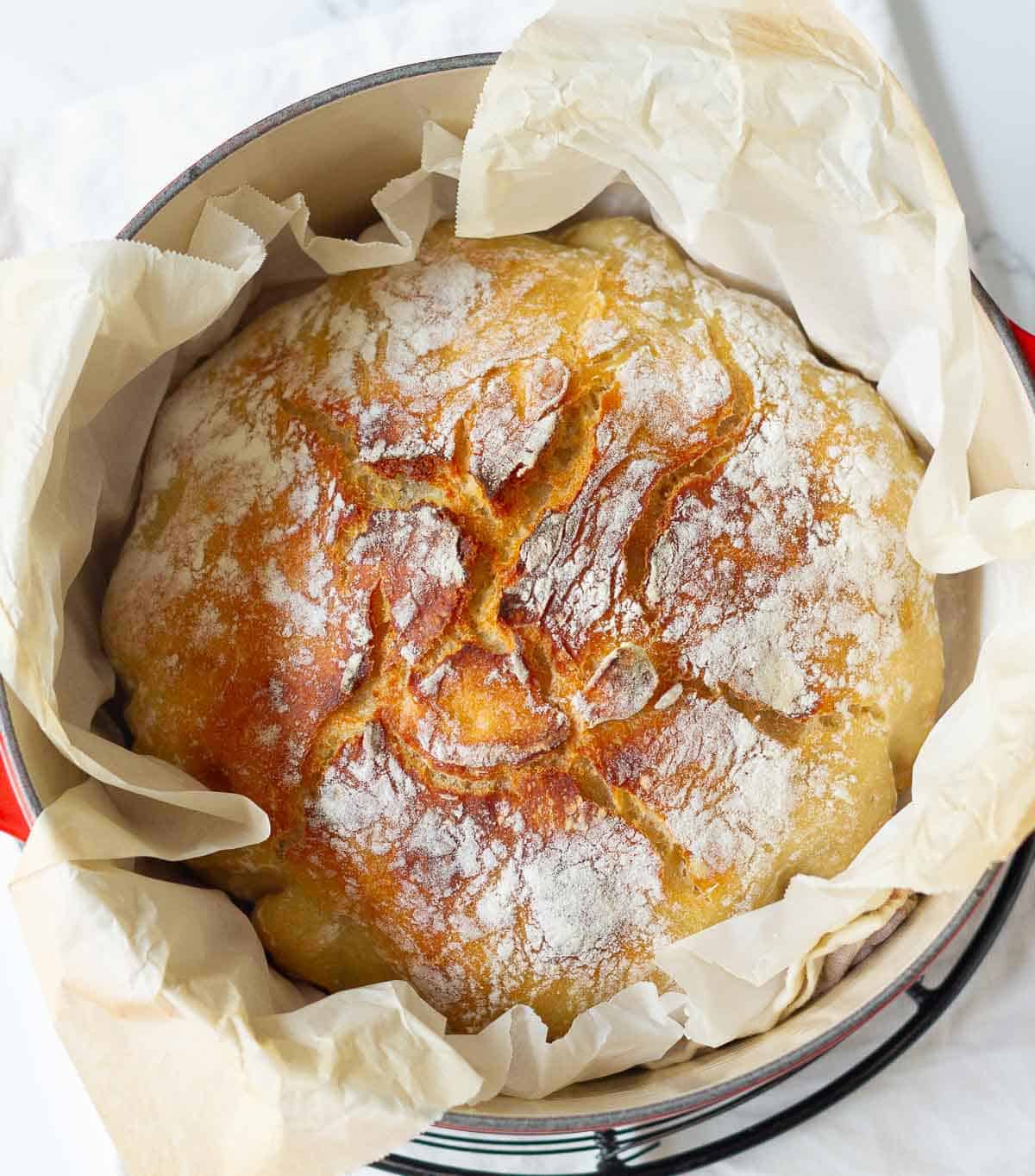 Loaf of no knead dutch oven bread on parchment paper in a dutch oven