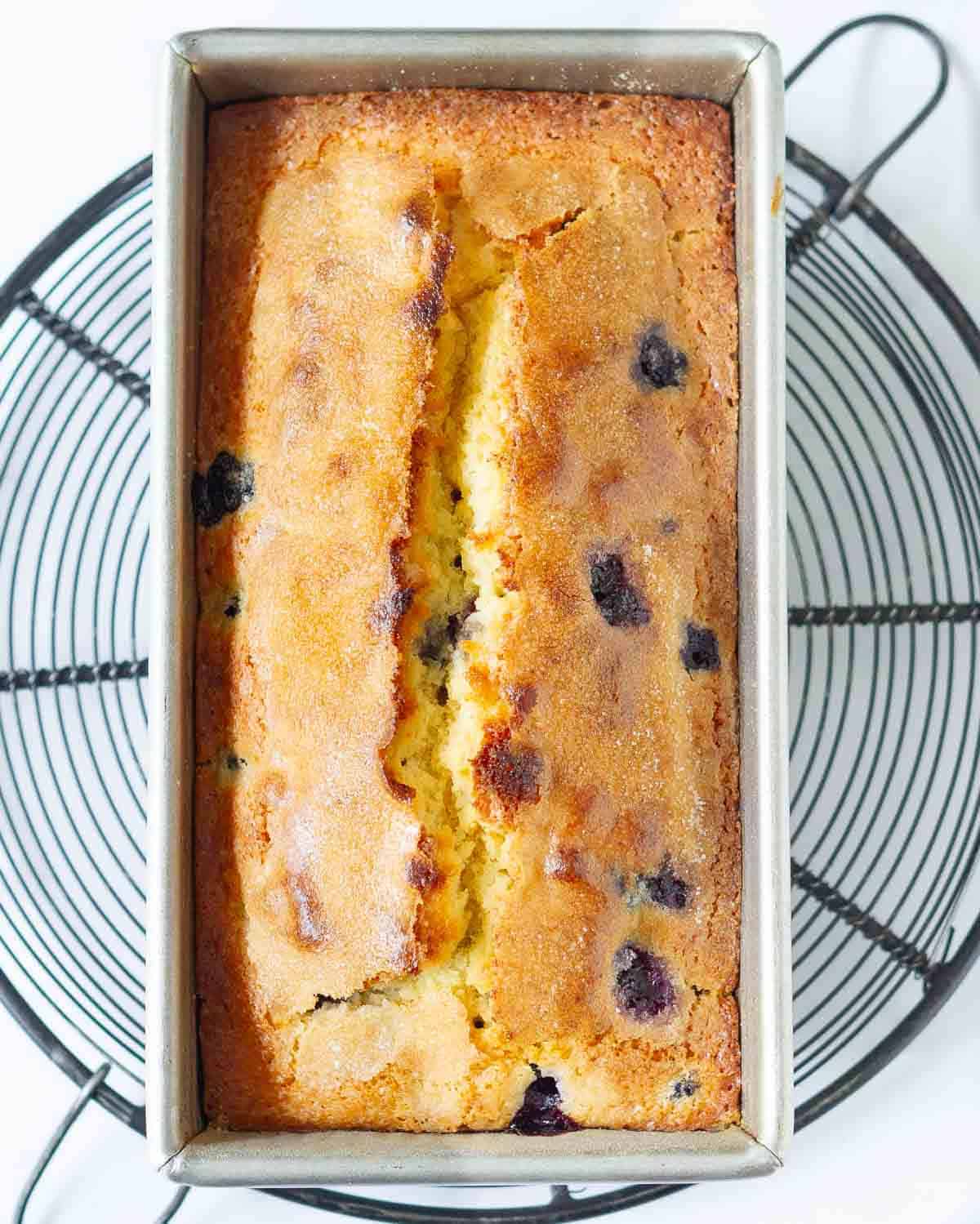 Baked blueberry lemon bread in a loaf pan.