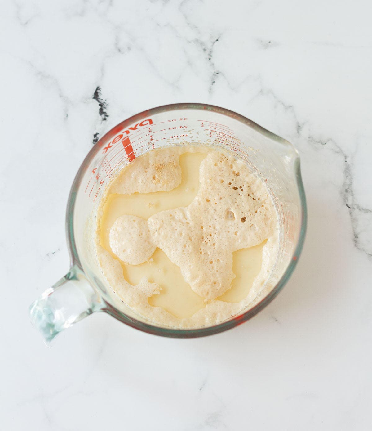 Bubbly yeast mixture in a measuring cup.