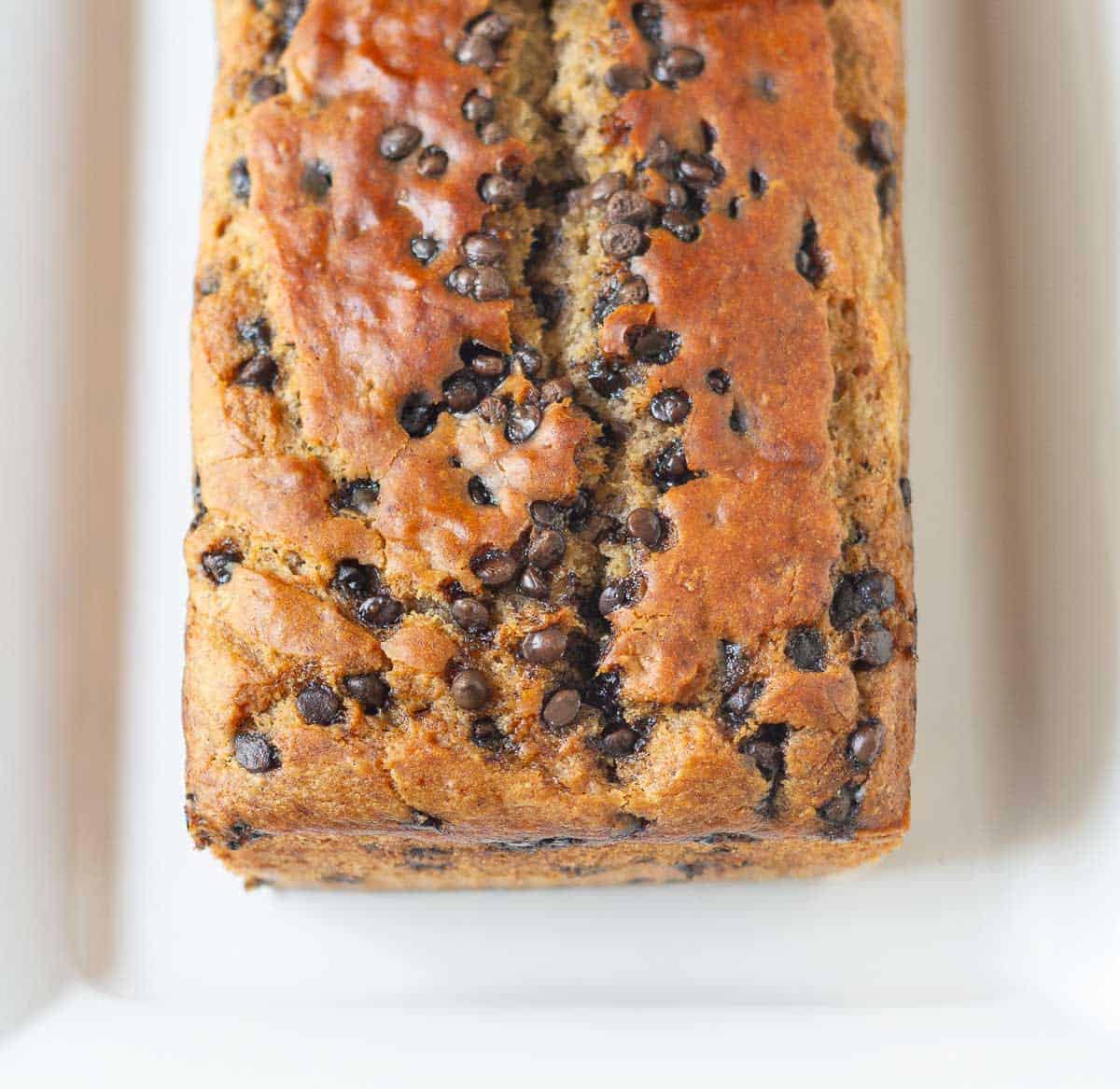 A loaf of cake with chocolate chips on a white plate.