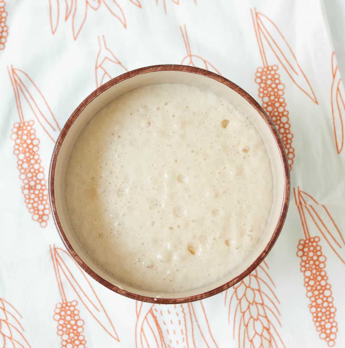 Foamy and bubbling yeast and water mixture in a bowl.